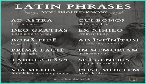 A Profile Of A Latin Beauty