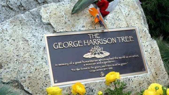 George DeLeone cause of death